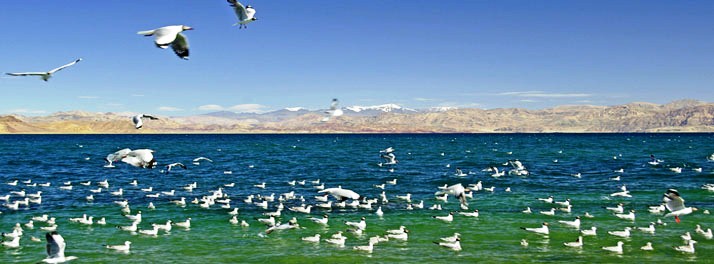 864/Spic n Span - Leh (Ladakh) 12.jpg